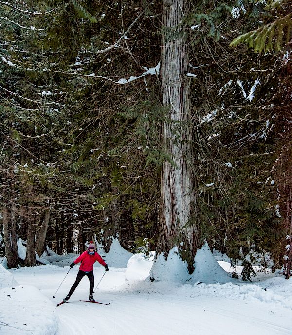 Nordic Skiing Whitewater Ski Resort