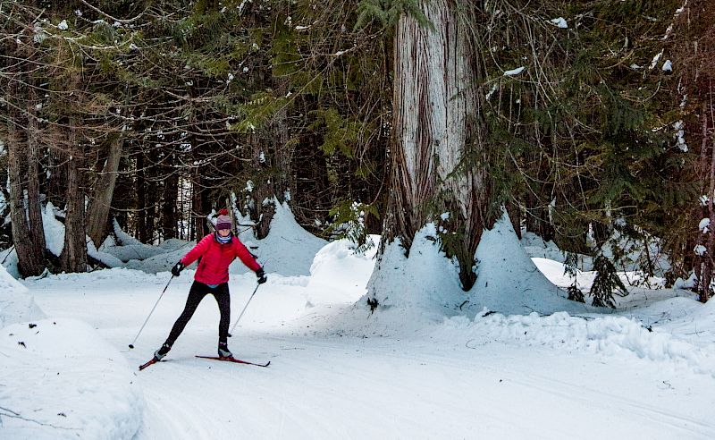 Nordic Skiing Whitewater Ski Resort