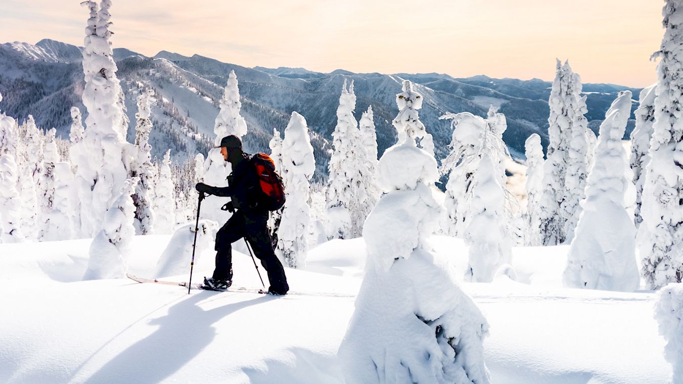 Backcountry Skiing