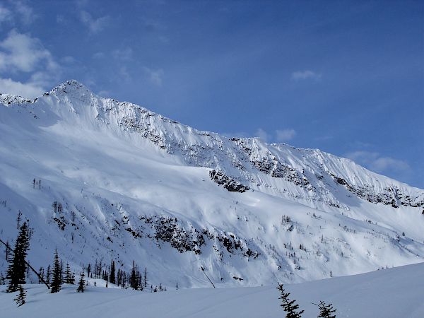 Mt. Carlyle