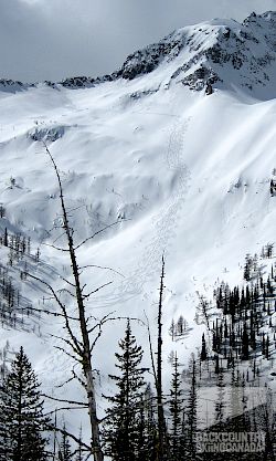 Mt. Carlyle