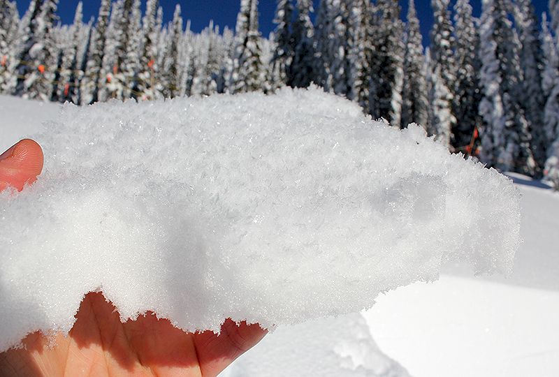 ww-large.800x540.jpg