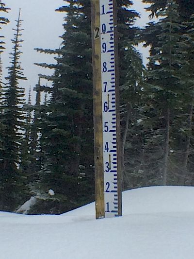 109 cm settled snow pack