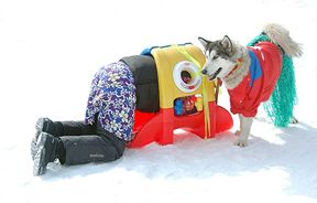 Dogstacle Course!