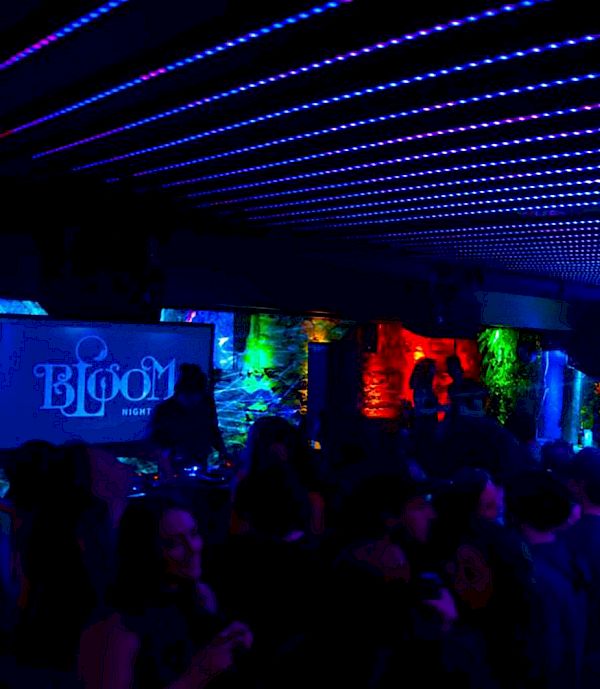 Bloom Nightclub