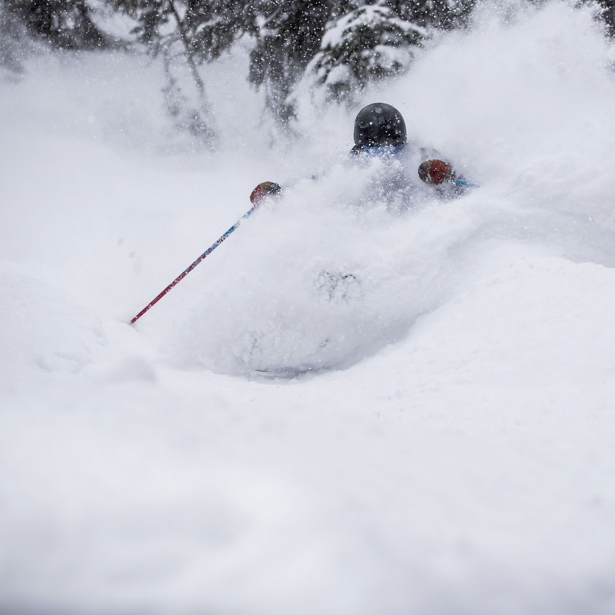 Deep Powder Snow