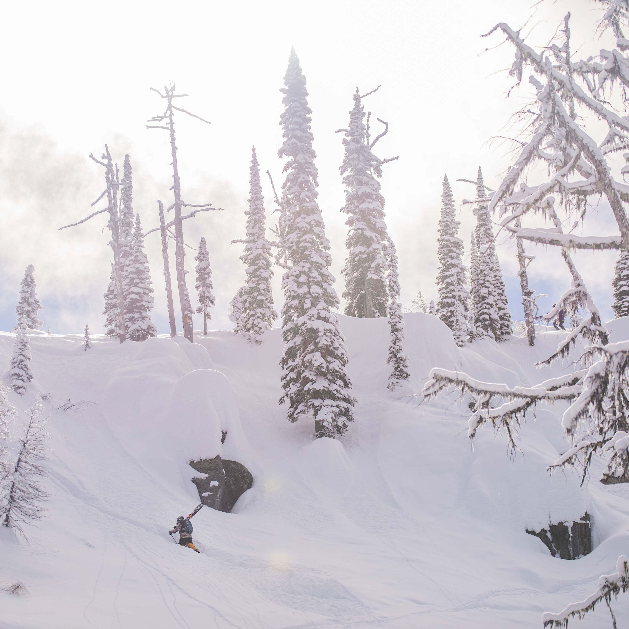 Backcountry Snow