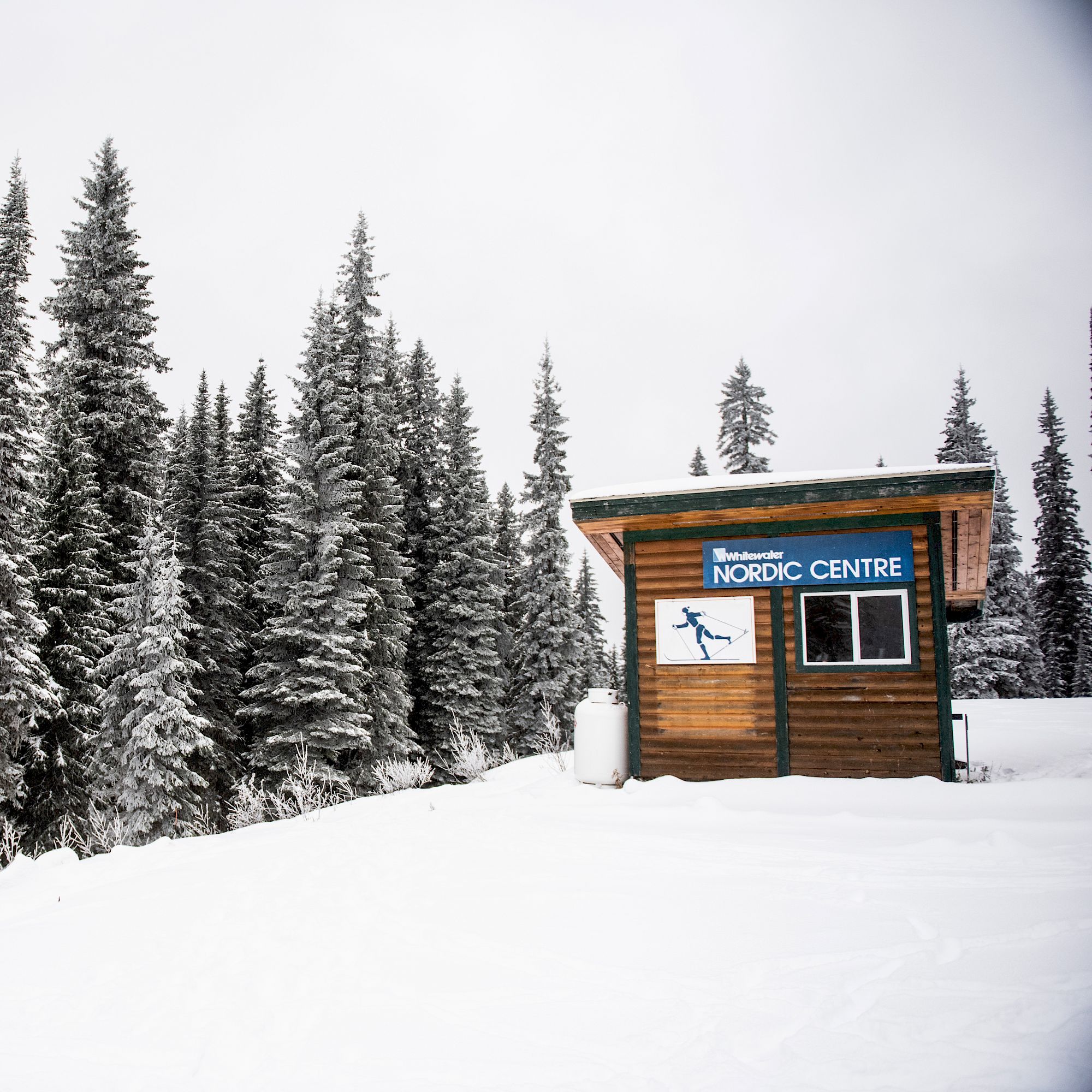 Nordic Trail Skiing
